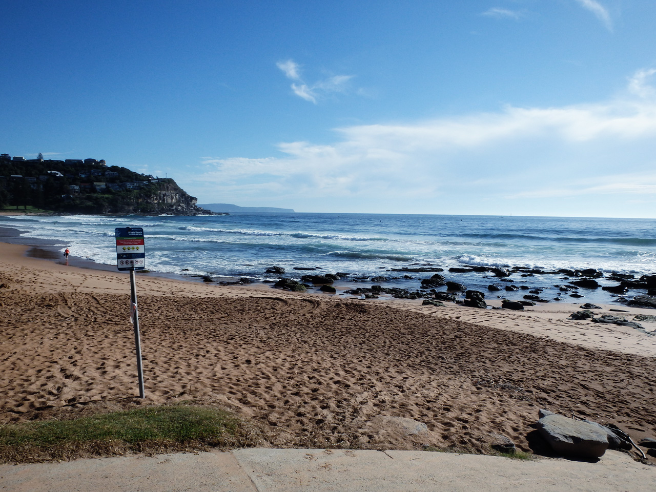 Whale Beach Morning