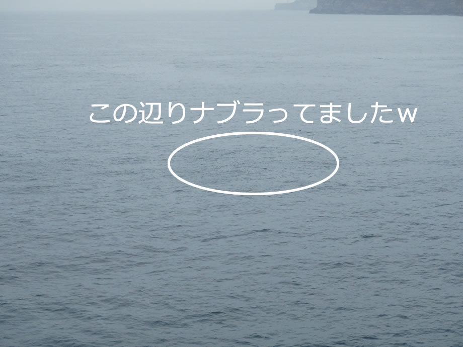 P8230005