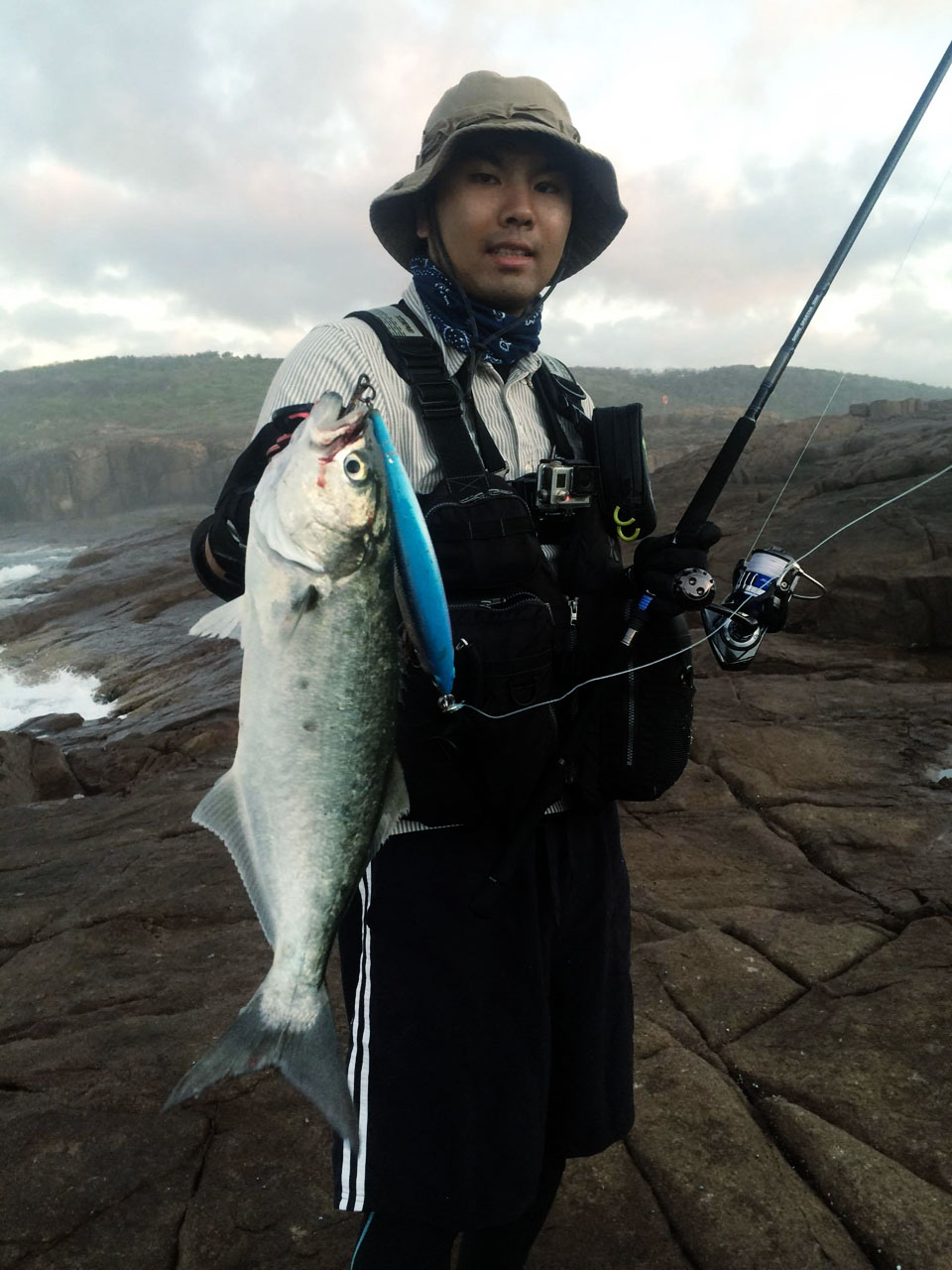 テイラー釣れた。